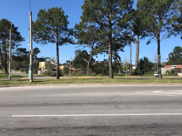 Imagen 3 de la galería