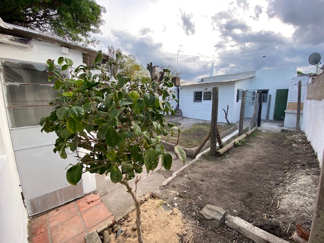 Imagen 3 de la galería