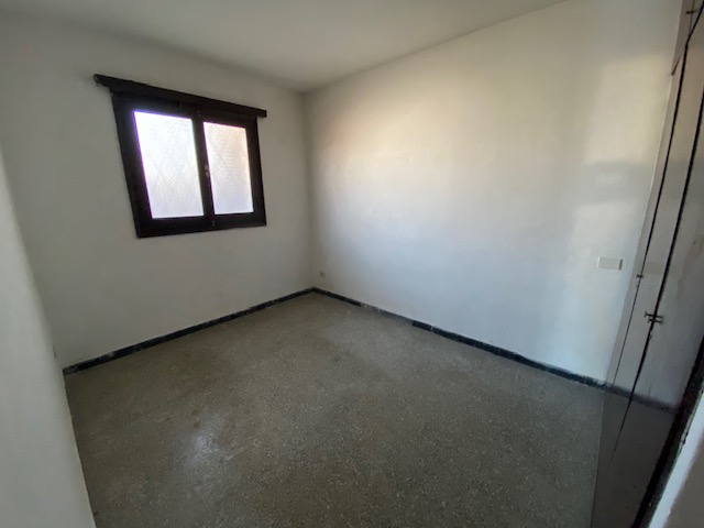 Imagen 7 de la galería