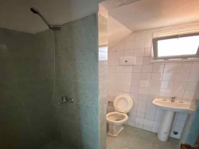 Imagen 2 de la galería