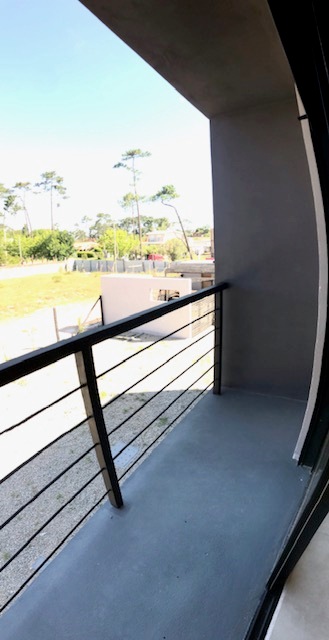 Imagen 11 de la galería