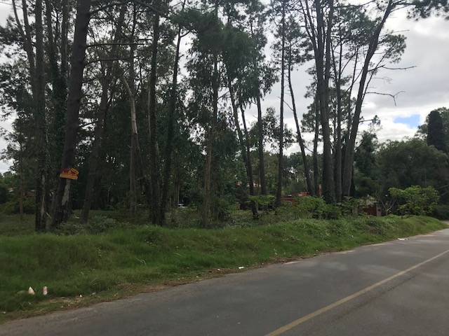 Imagen 1 de la galería