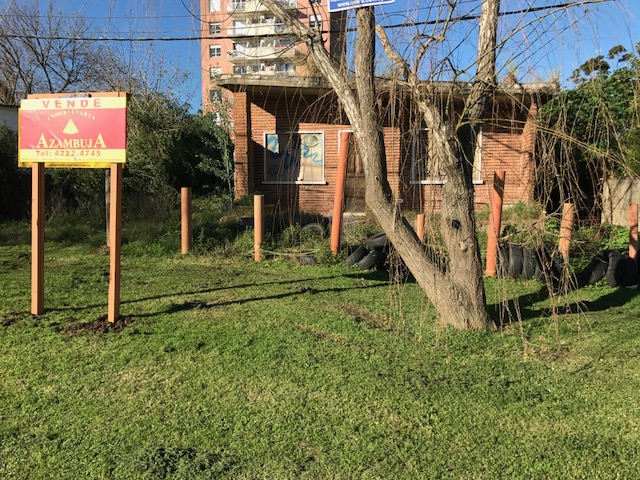 Imagen 1 de la galería