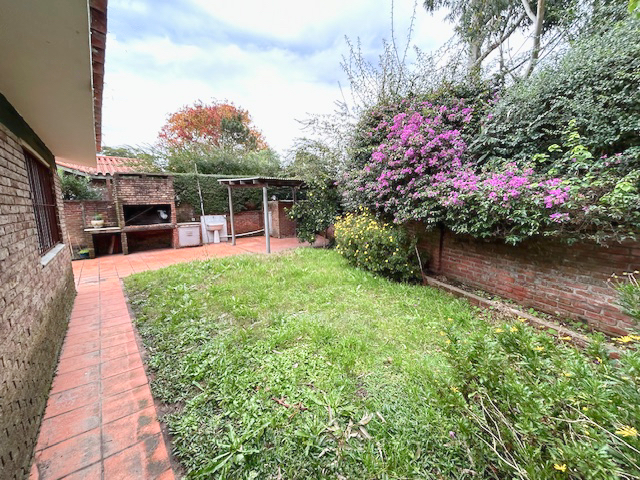 Imagen 3 de la galería