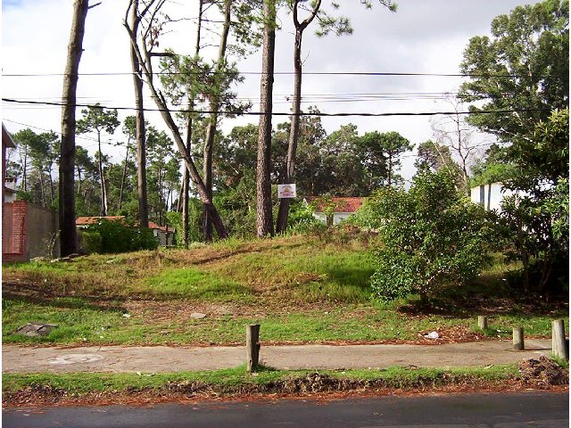 Imagen 1 de la galería