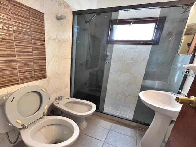 Imagen 12 de la galería