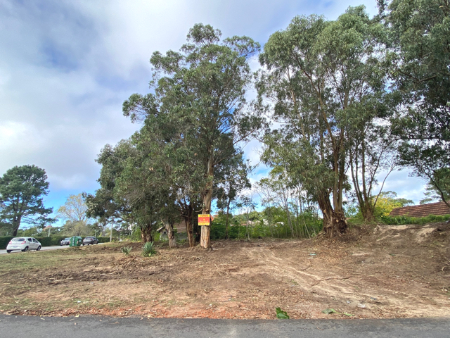 Imagen 1 de la galería