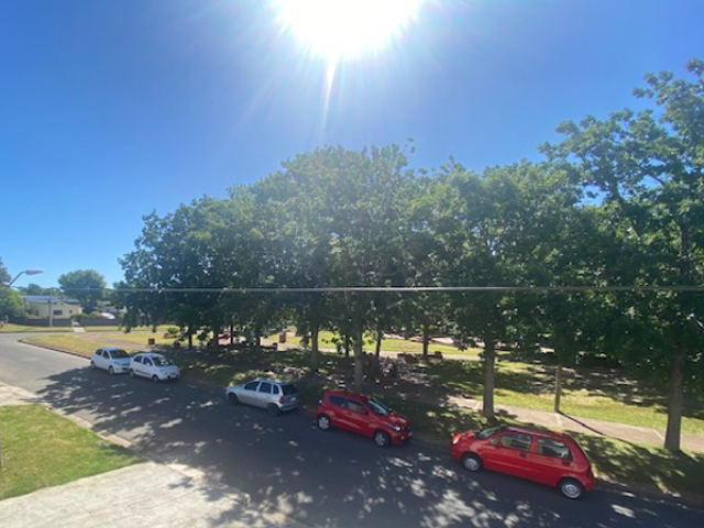 Imagen 6 de la galería