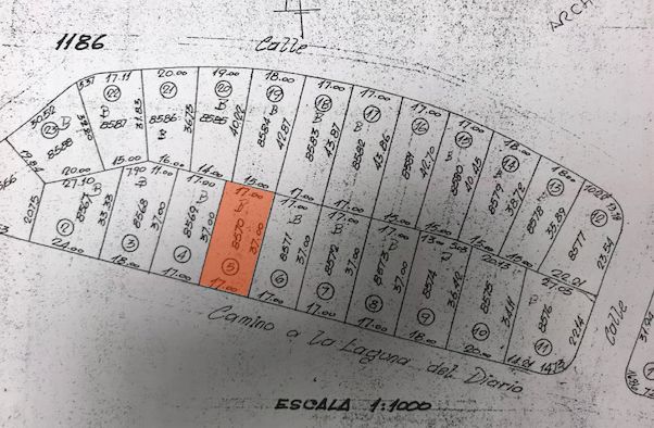 Imagen 1 de la galería