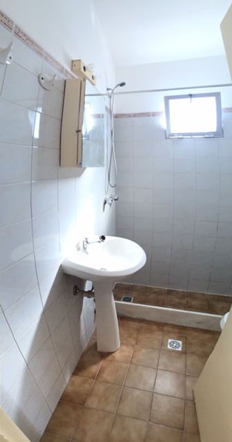 Imagen 13 de la galería