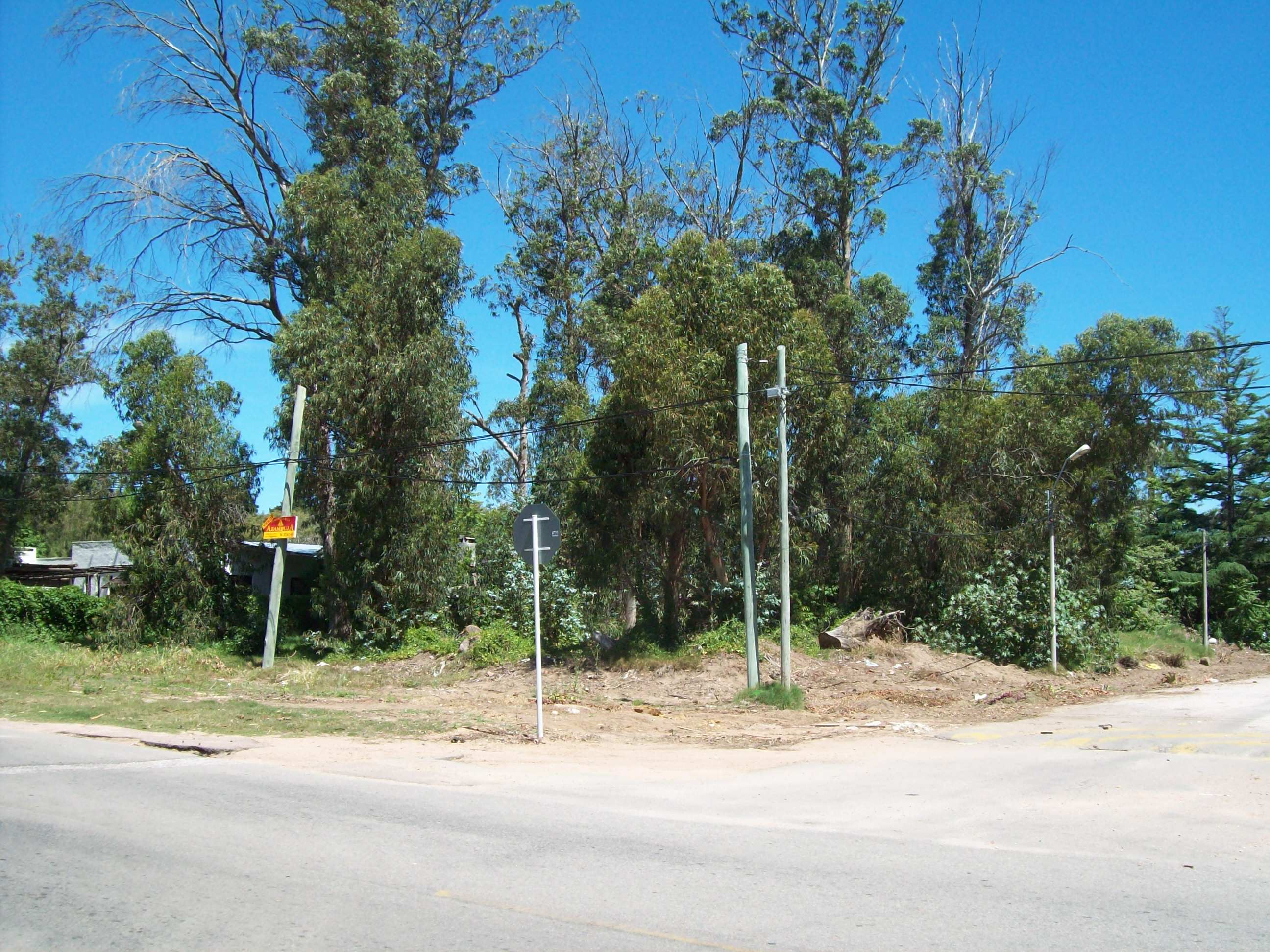 Imagen 1 de la galería