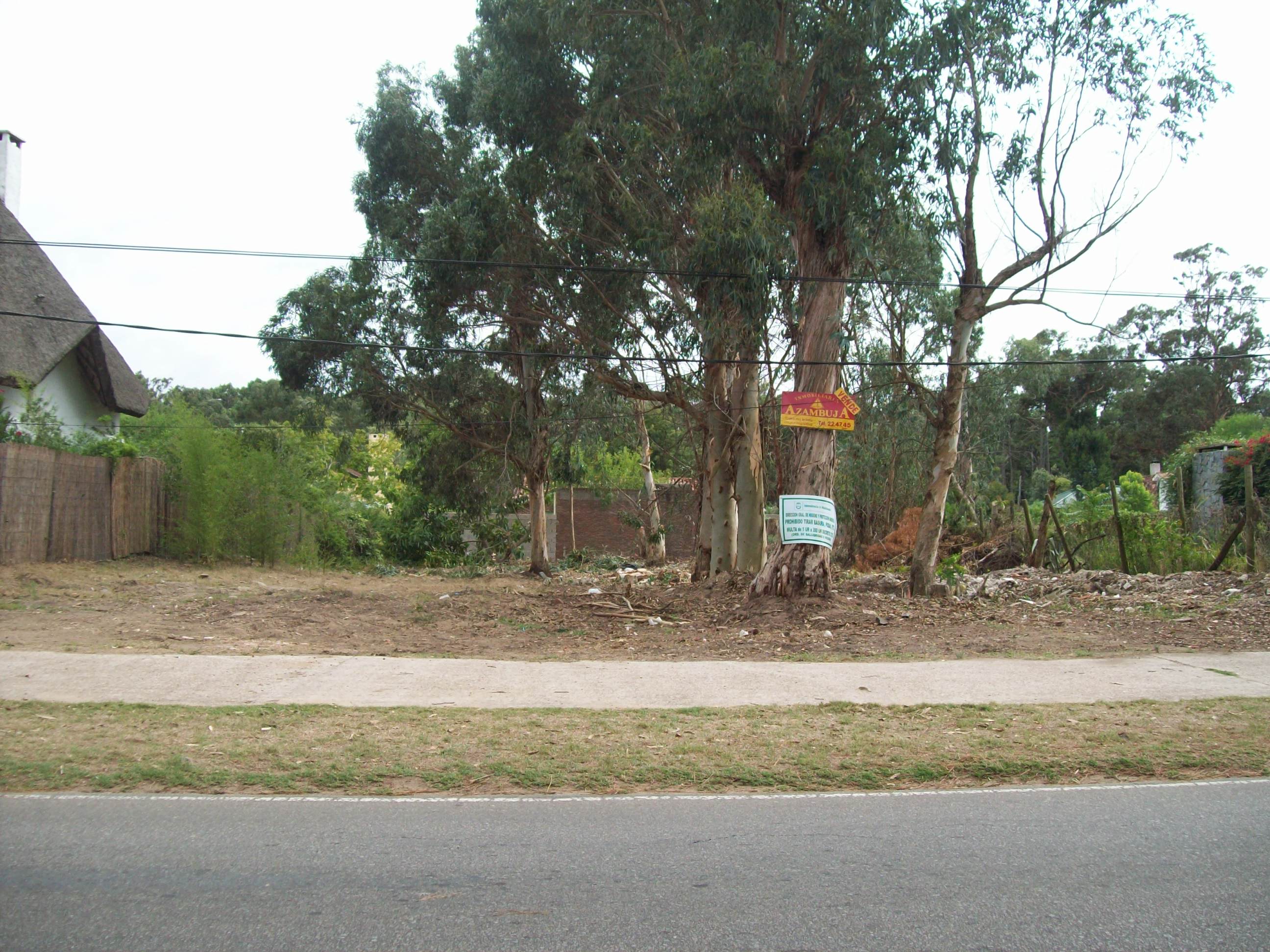 Imagen 1 de la galería