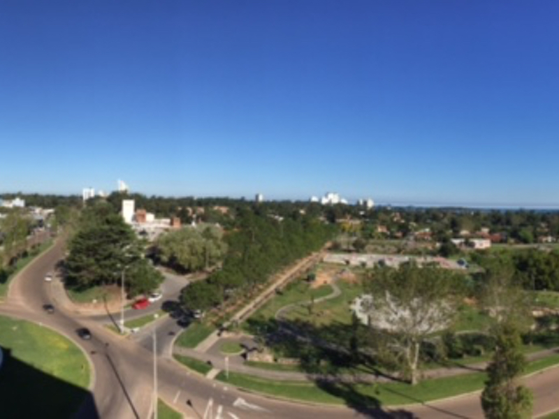 Imagen 13 de la galería