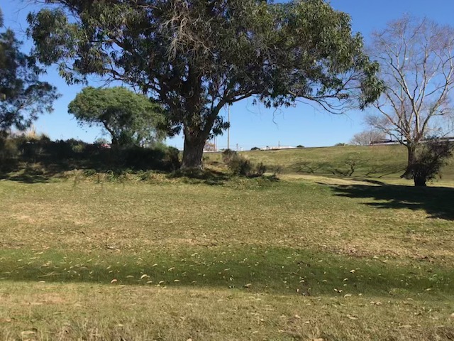 Imagen 2 de la galería