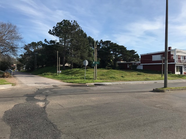 Imagen 1 de la galería