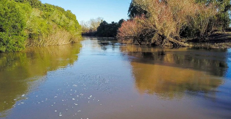 Imagen 3 de la galería