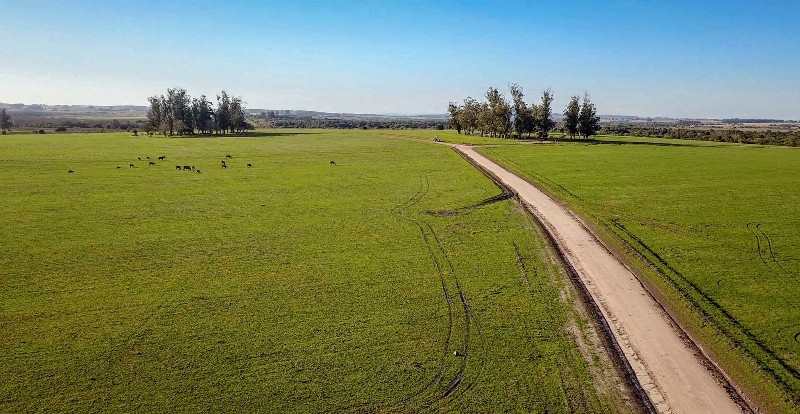 Imagen 2 de la galería