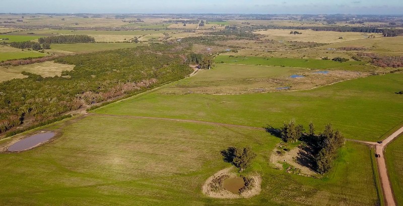 Imagen 4 de la galería