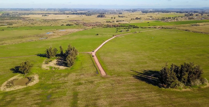 Imagen 1 de la galería