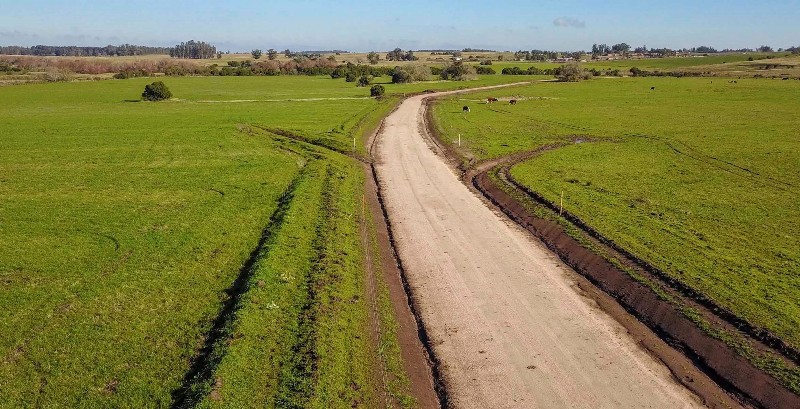 Imagen 5 de la galería