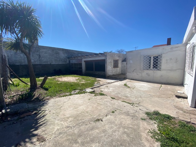 Imagen 13 de la galería