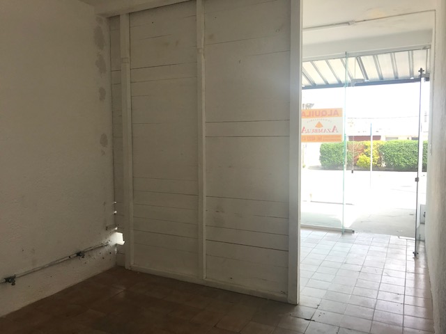 Imagen 4 de la galería