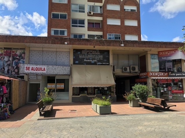 Imagen 1 de la galería