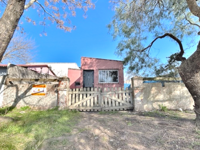 Imagen 1 de la galería