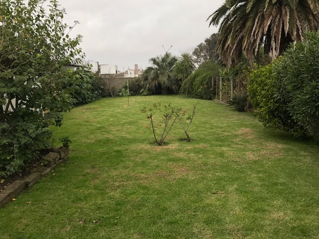 Imagen 7 de la galería