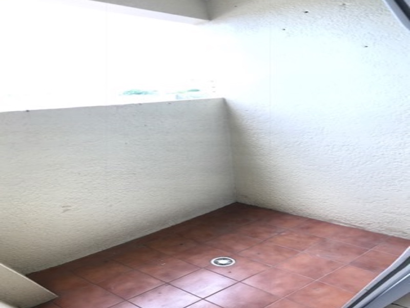 Imagen 12 de la galería