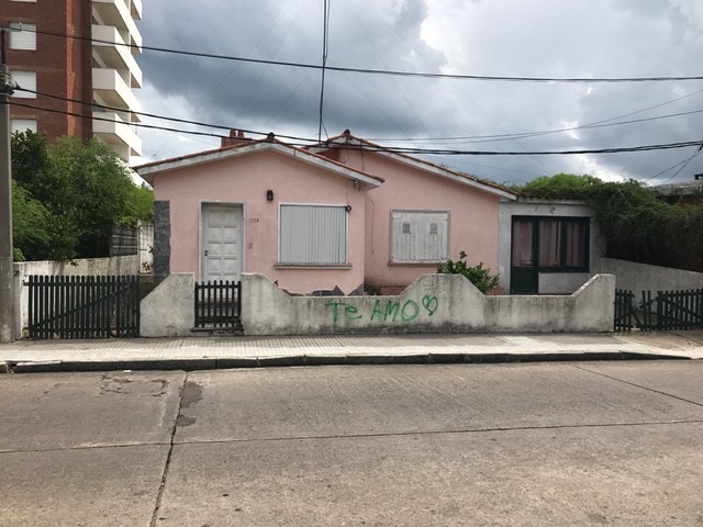 Imagen 1 de la galería