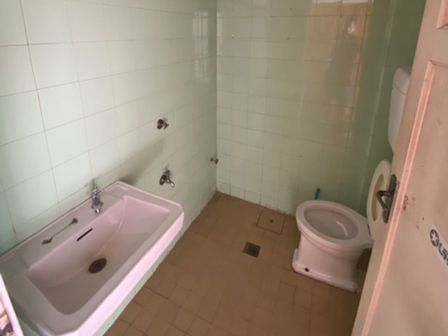 Imagen 2 de la galería