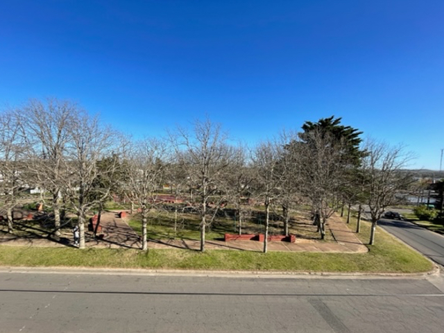 Imagen 5 de la galería