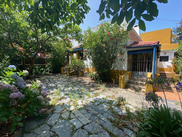 Imagen 14 de la galería