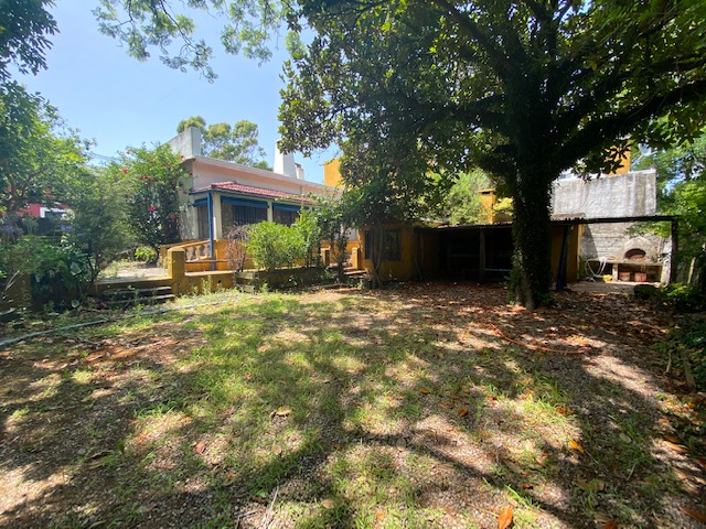 Imagen 13 de la galería