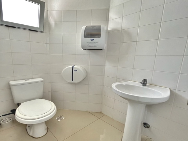 Imagen 6 de la galería