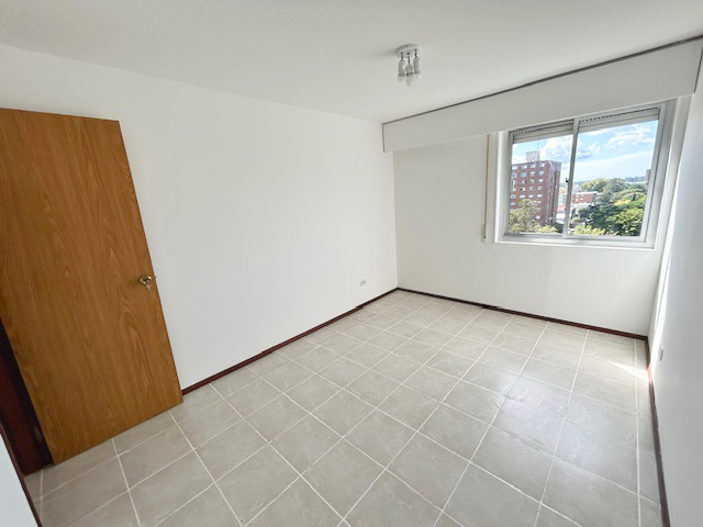 Imagen 7 de la galería