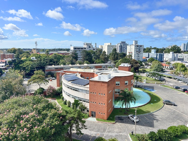 Imagen 8 de la galería