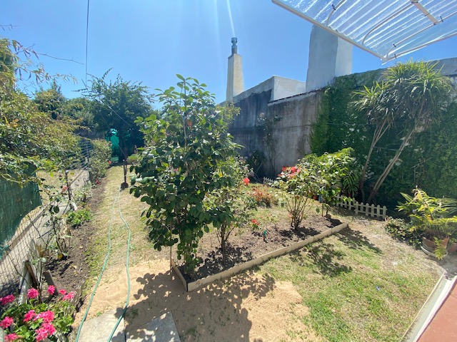 Imagen 8 de la galería