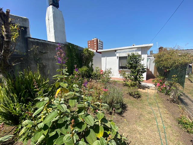 Imagen 9 de la galería