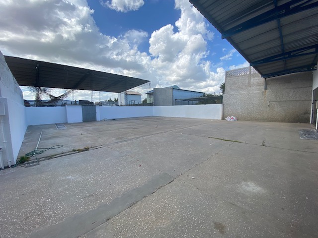 Imagen 13 de la galería