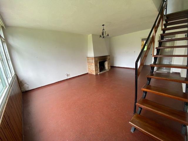 Imagen 3 de la galería