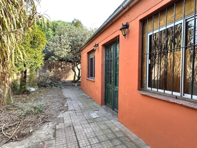 Imagen 12 de la galería