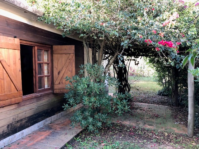 Imagen 12 de la galería