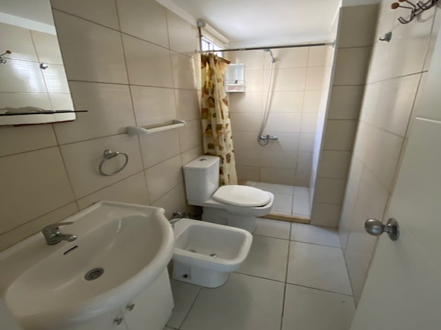 Imagen 12 de la galería