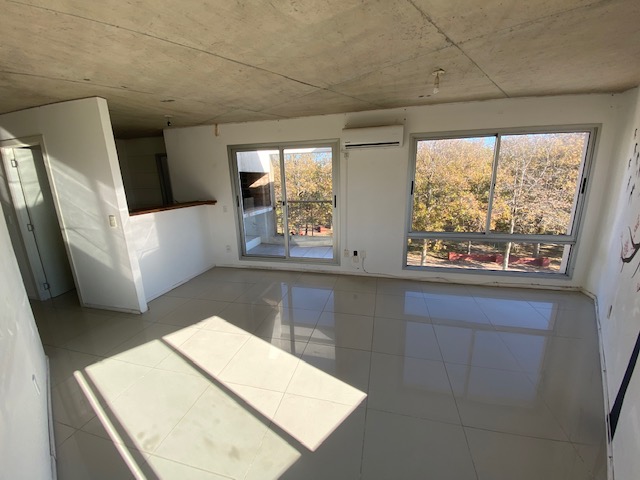 Imagen 13 de la galería