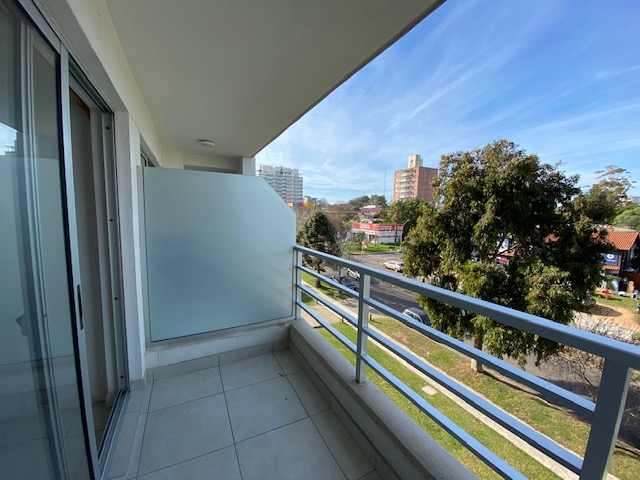 Imagen 7 de la galería