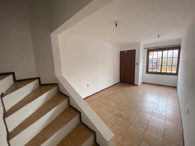 Imagen 3 de la galería