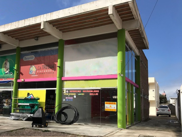 Imagen 1 de la galería