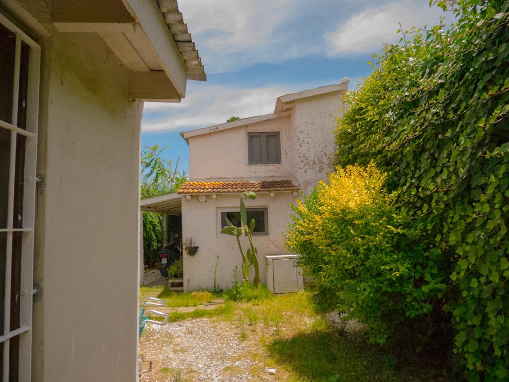 Imagen 10 de la galería